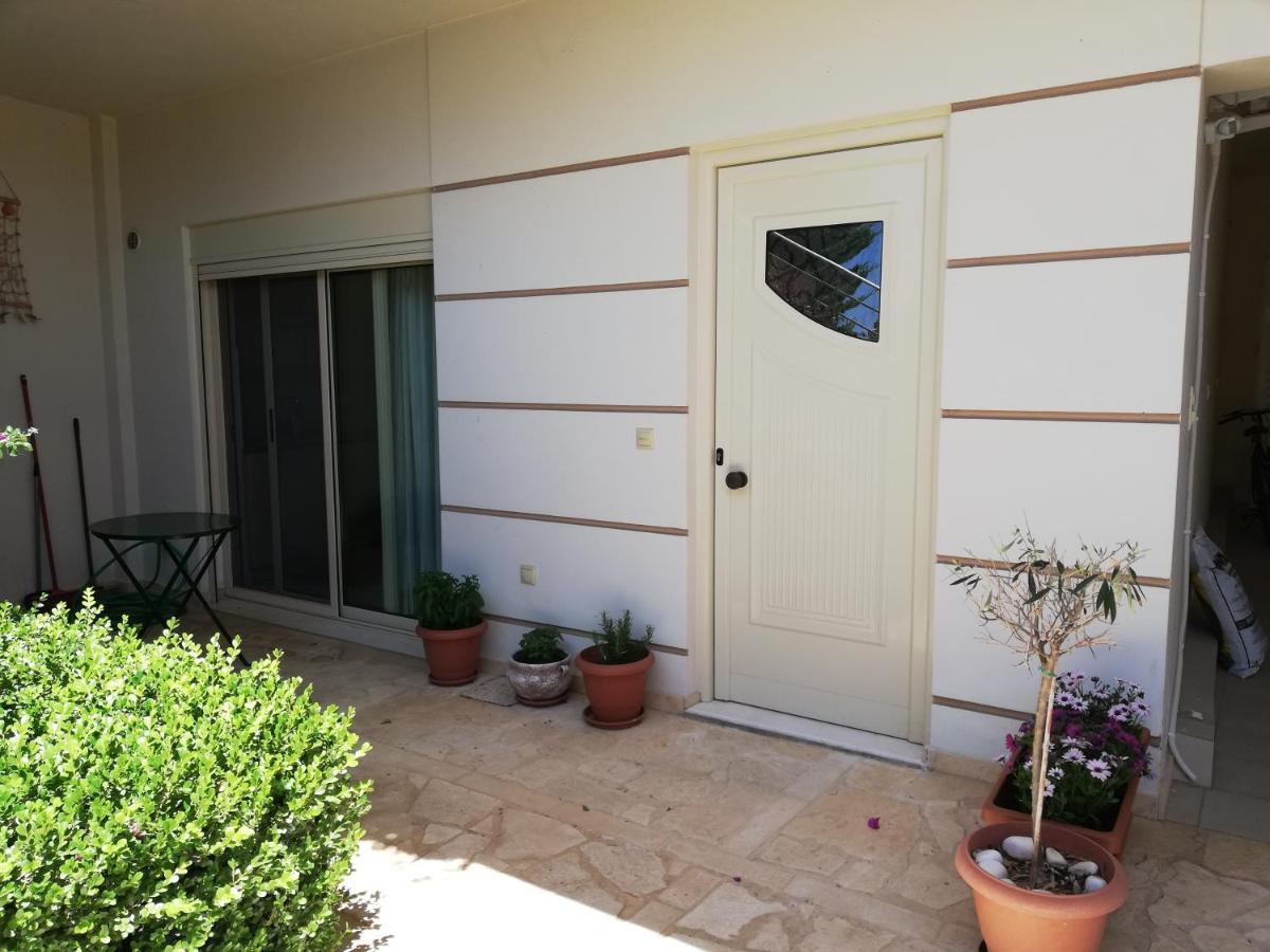 Althea Holiday Studio Agia Marina  Екстериор снимка